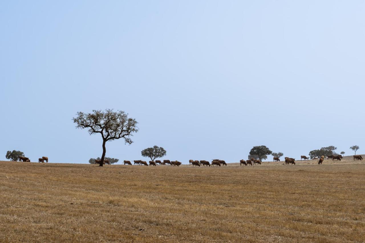 Change The World - Herdade Monte Do Peral Montes Juntos Kültér fotó
