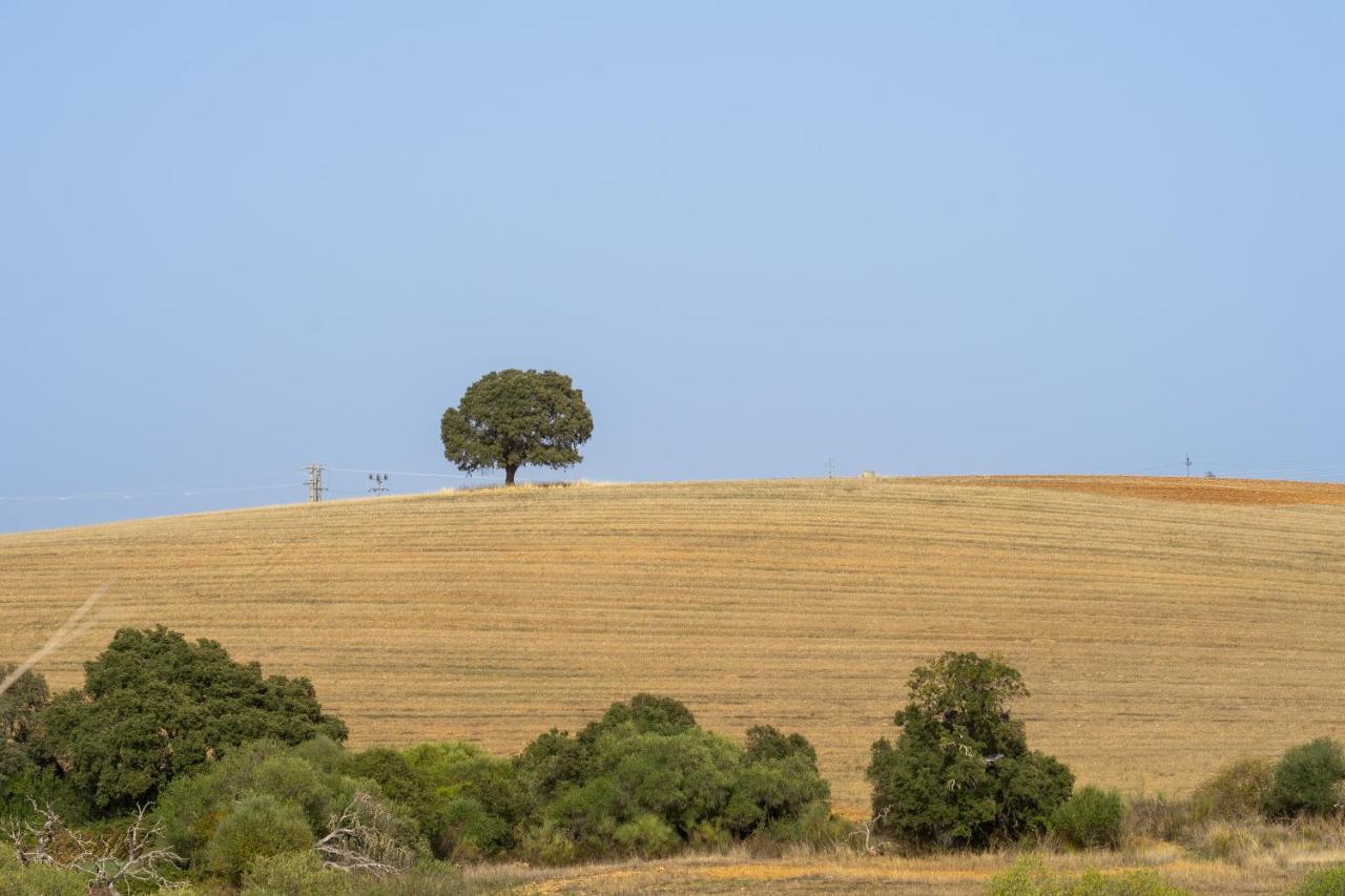 Change The World - Herdade Monte Do Peral Montes Juntos Kültér fotó