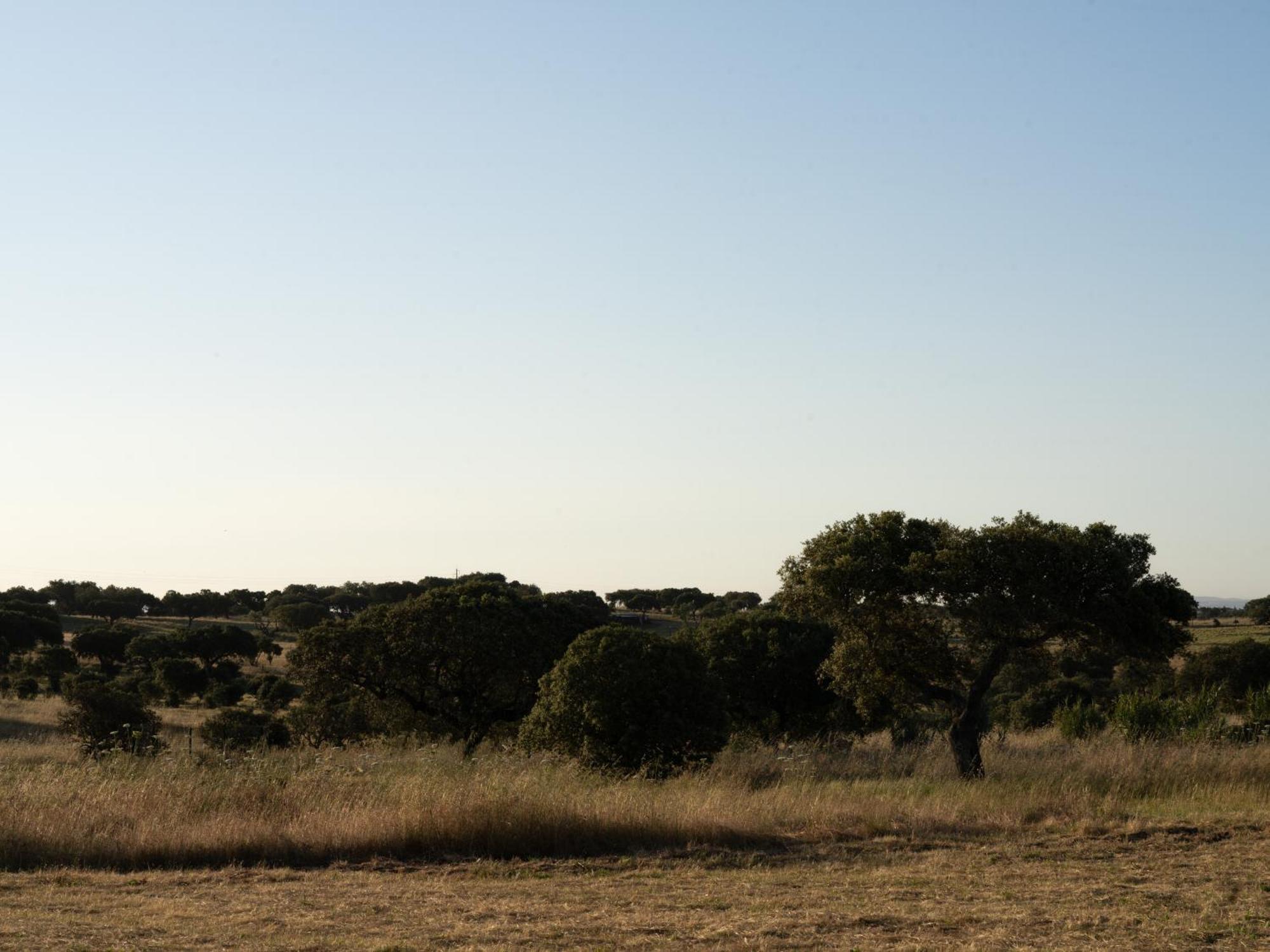 Change The World - Herdade Monte Do Peral Montes Juntos Kültér fotó